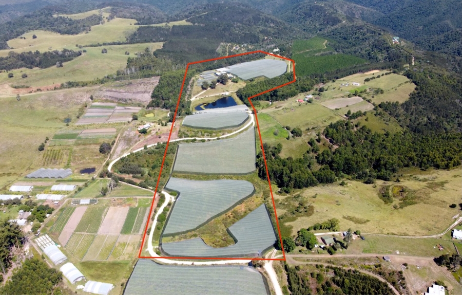 Commercial Property for Sale in Sedgefield Rural Western Cape